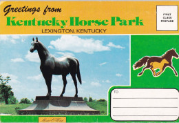 Horse - Cheval - Paard - Pferd - Cavallo - Cavalo - Caballo - Häst - Kentucky Horse Park - Cards - Paarden
