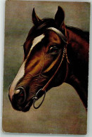 39866211 - Sign. Von Casalanza Franz Lanza Edler Tucks Oilette Nr.342B - Horses