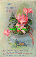 R583640 My Birthday Wish. My Very Best Wishes I Send To You. 1921 - World