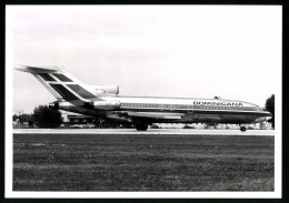 Fotografie Flugzeug Boeing 727, Passagierflugzeugder Dominicana, Kennungg HI-312  - Aviation