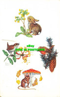 R583690 Rabbit. Robin. Mouse And Wren. Medici Society. Molly Brett. 1982 - Wereld