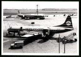 Fotografie Flugzeug Lockheed L-188, Passagierflugzeug Der KLM, Kennug PH-LLE  - Luftfahrt