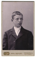Fotografie Max Seifert, Freiberg I /S., Poststr. 11, Junger Mann Im Anzug Mit Krawatte  - Personnes Anonymes