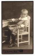 Fotografie E. Hoffmann Nachf., Dresden-A., Borsbergstr. 1, Kleiner Junge In Hübscher Kleidung  - Personnes Anonymes