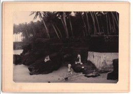Fotografie Unbekannter Fotograf, Ansicht Tellicherry - Thalassery / Indien, Strand Mit Gartenterrasse Um 1905  - Lieux