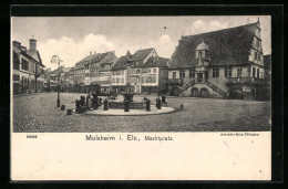 CPA Molsheim, La Place Du Marché  - Molsheim
