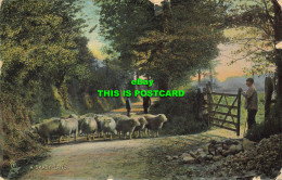 R584279 A Shady Lane. The Shepherd And His Flock. Tuck. Rapholette Series 8039. - Monde