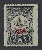 1908, TÜRKEI 148 * 2 Pia. Aufdruck MATBUA, Originalgummi, Seltene Marke, 200,-€ - Ungebraucht