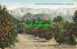 R584904 California. Oranges And Snow Capped Mountains. Western Publishing And No - Monde