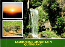 18-5-2024 (5 Z 26) Australia - QLD - Tamborine Mountain Waterfall - Atherton Tablelands