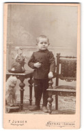 Fotografie F. Junger, Haynau I. Schlesien, Kleiner Junge In Modischer Kleidung  - Personnes Anonymes