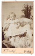 Fotografie H. Zernsdorf, Belzig, Sandbergerstr. 23, Kleines Kind Im Kleid Sitzt Auf Fell  - Personnes Anonymes