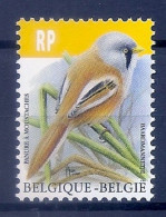 BELGIE * Buzin * Nr 4858 * Postfris Xx * WIT PAPIER - 1985-.. Vogels (Buzin)