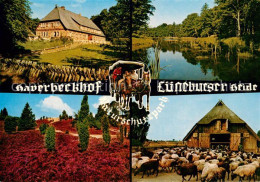 73758450 Niederhaverbeck Gasthof Haverbeckhof Lueneburger-Heide Schafherde Niede - Other & Unclassified