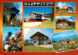 73758260 Klippitztoerl Teilansichten Alpenflora Almvieh  - Sonstige & Ohne Zuordnung