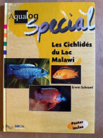 Aqualog Special Les Cichlidés Du Lac Malawi - Autres & Non Classés