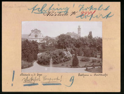 Fotografie Brück & Sohn Meissen, Ansicht Klösterle A. D. Eger, Partie Aus Dem Schlosspark Mit Rathaus Und Stadtkirche  - Lieux