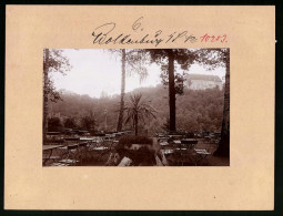 Fotografie Brück & Sohn Meissen, Ansicht Wolkenburg, Blick Vom Parkrestaurant Aufs Schloss  - Lieux