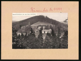 Fotografie - Lichtdruck Brück & Sohn Meissen, Ansicht Bärenfels, Oberforstmeisterei Mit Dem Berg Hofehübel  - Places