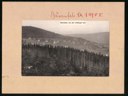 Fotografie Brück & Sohn Meissen, Ansicht Bärenfels, Ortschaft Von Der Tellkoppe Gesehen  - Plaatsen