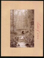 Fotografie Brück & Sohn Meissen, Ansicht Colditz, Bachlauf Mit Brücke Im Tiergarten  - Lieux