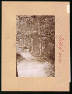 Fotografie Brück & Sohn Meissen, Ansicht Colditz, Wanderweg & Unterstand Im Tiergarten  - Places