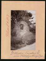 Fotografie Brück & Sohn Meissen, Ansicht Röhrsdorf, Gothisches Fenster Der Ruine Im Schlossgarten  - Lieux