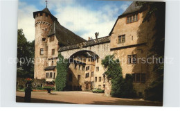 72613377 Michelstadt Schloss Fuerstenau Michelstadt - Michelstadt