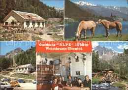 72612298 Ultental Gasthaus Alpe Pferdekoppel Gastraum Panorama  Italien - Andere & Zonder Classificatie