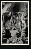 AK Rübeland I. Harz, Baumanns-Höhle, Säulenhalle  - Autres & Non Classés