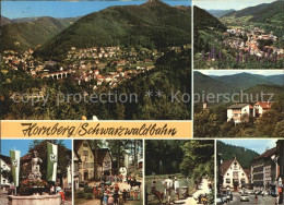 72610505 Hornberg Schwarzwald Gesamtansicht Brunnen Park Weiher Hornberg - Autres & Non Classés
