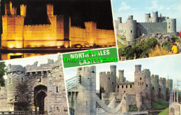 R584416 North Wales Castles. Beaumaris. Conwy. Harlech. E. T. W. Dennis. Photoco - Welt