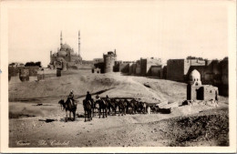 18-5-2024 (5 Z 28) Egypt (b/w Very Old) Cairo Citadel (& Mosque) + Camel Caravan - Casernes