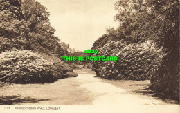 R584493 Longleat. Rhododendron Walk - Wereld