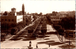 18-5-2024 (5 Z 28) Egypt (b/w Very Old) Ismalia Avenue Of Imperatrice - Ismaïlia