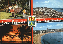 72609556 Las Palmas Gran Canaria Kamel Fliegeraufnahme Strand  - Autres & Non Classés