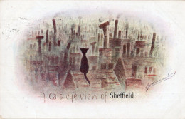 Cats Eye View Of Sheffield Poverty Yorkshire Old Comic Postcard - Humor