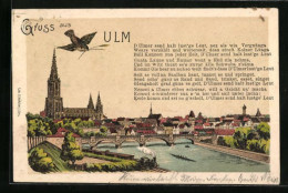 Lithographie Ulm, Stadt Mit Dom, Dampflok, Text  - Ulm