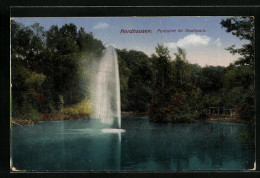 AK Nordhausen, Fontaine Im Stadtpark  - Nordhausen