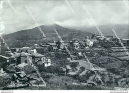 T769 Cartolina Casal Sottano Panorama Provincia Di Salerno - Salerno
