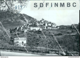 Ao621 Cartolina Bozza Campione Caselle In Pittari Provincia Di Salerno - Salerno