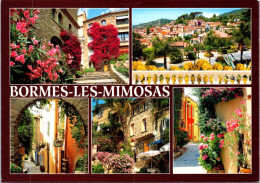 18-5-2024 (5 Z 26) France - Bormes Les Mimosas (vacances [small Size] Stamp) - Bormes-les-Mimosas