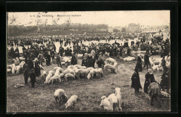 CPA Rennes, Marche Aux Bestiaux  - Rennes