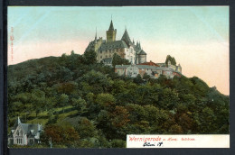 AK Werningerode Sachsen-Anhalt Schloss (coloriert) Um 1900 #IU951 - Autres & Non Classés