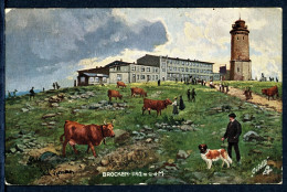AK Brocken, Landkreis Harz Brockenhotel Rudolph Schade 1909 Gebraucht #HU247 - Sonstige & Ohne Zuordnung