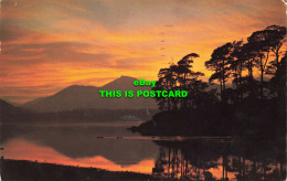 R584570 Derwentwater. Friars Crag. Sunset. H. Webster. 1978 - Welt