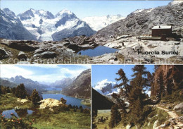 11698719 Fuorcla Surlej Mit Piz Bernina Roseg Und Sellagruppe Oberengadiner Seen - Sonstige & Ohne Zuordnung