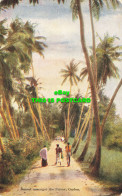 R585459 Ceylon. Sunset Amongst The Palms. Plate. No. 13 - Welt