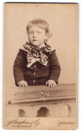 Fotografie F. Langbein & Co., Heidelberg, Haupt-Str. 113, Hübsches Kleines Kind Mit Gepunktetem Halstuch  - Anonieme Personen