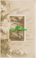 R585485 Happy Birthday A Message Here Is Sent To Tell How A Friend Does Wish You - Monde